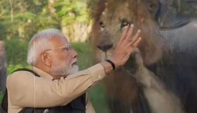 PM Narendra Modi Inaugurates And Visits Vantara: A Wildlife Rescue, Rehabilitation, And Conservation Centre In Gujarat