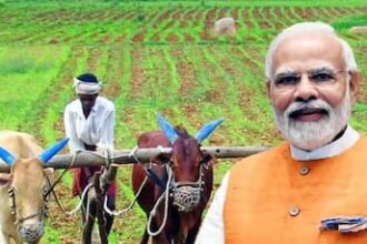 PM Kisan Yojana: Want To Update Your Mobile Number? Here's How To Do It Without Aadhaar Card– Check Steps