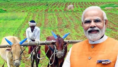 PM Kisan Yojana: Want To Update Your Mobile Number? Here's How To Do It Without Aadhaar Card– Check Steps