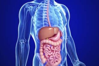 From Covid To Probiotics, Researchers Reveal Changes In Gut Microbiota