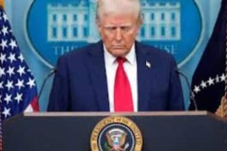 Impact Of US Tariffs On India Minimal As Country Diversifies Exports Kitty: SBI Report