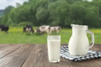 Delhi- NCR Woman Dies Of Rabies After Drinking Cow Milk Within Days- Know Key Symptoms, Precautions To Stay Safe