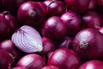 Onion Prices To Rise? Govt Withdraws 20% Export Duty, Effective April 1