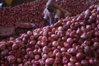 Huge Relief For Onion Farmers! Central Government Abolishes 20% Export Duty On Onion