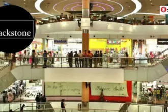 Blackstone, investments, Foreign investment, India