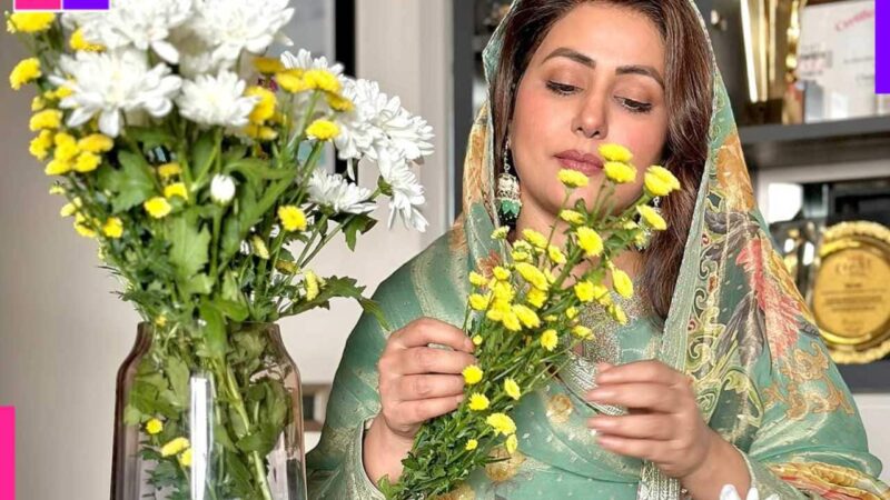 Hina Khan celebrates the holy month of Ramadan; says, 'Dua main...'