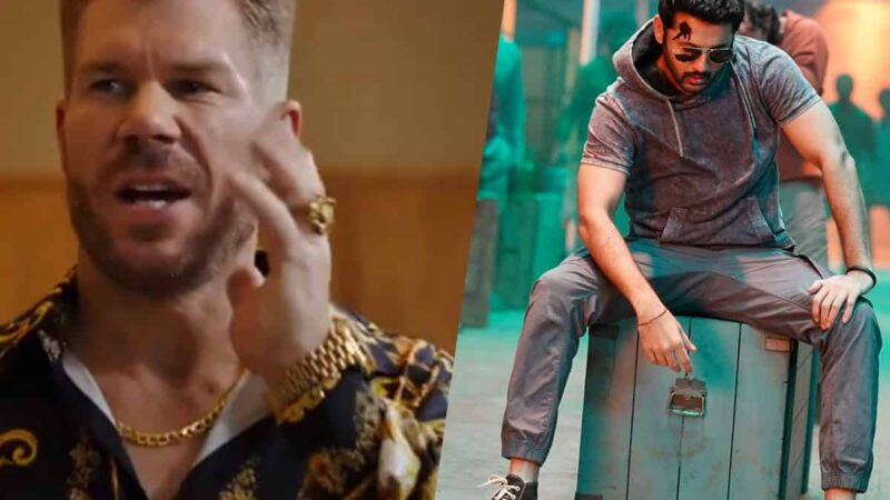 Confirmed: David Warner Debuting In Indian Cinema