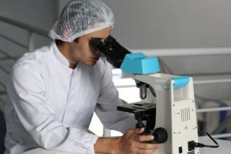 Groundbreaking study reveals how our brain learns