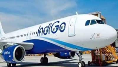 Passenger Behaves 'Inappropriately' On Delhi-Shirdi IndiGo Flight With Staff, Airline Responds