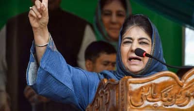 Drowning Of Youth In Kulgam Sparks Controversy; Police Call Him OGW, Mufti Demand Probe