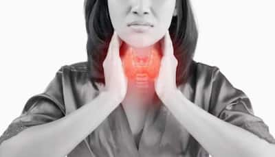 The Gut-Thyroid Connection: How IBS And Hypothyroidism Impact Metabolism