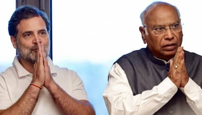 Operation Sindoor: Mallikarjun Kharge, Rahul Gandhi Pledge Congress' Full Support To Indian Armed Forces