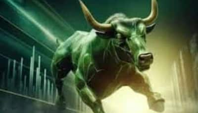 FIIs To Resume Equity Purchases In India As Bulls Roar: Analysts