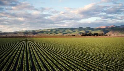 Goa: CADA Member, MLA Alleges Illegality In Denotifying Farmland For Casino Project