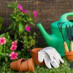 Easy Steps To Help You Grow And Start A Garden: A Complete Beginner’s Guide