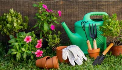 Easy Steps To Help You Grow And Start A Garden: A Complete Beginner’s Guide