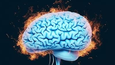 Scientists Discover Molecule That Blocks Cell Death, Offering New Hope For Parkinson’s And Alzheimer’s Treatment