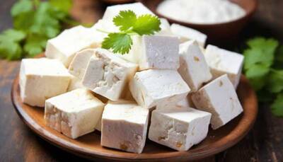 How To Identify Real or Fake Paneer At Home: Check For Simple Tricks