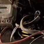 Massive Power Outage In Faridabad, Thousands Without Electricity For Hours; DHBVN Unresponsive