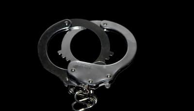 YouTuber Jyoti Malhotra Suspected Of Spying For Pakistan Held Under Official Secrets Act, Sent To 5 Days Police Remand