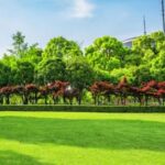 Urban Air Pollution And Lack Of Green Spaces Linked To One In Ten Asthma Cases, Study Finds