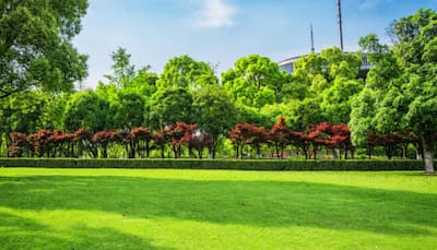 Urban Air Pollution And Lack Of Green Spaces Linked To One In Ten Asthma Cases, Study Finds