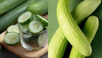'Kheera' vs 'Kakdi': Which Is Better For Summer? Know Its Health Benefits
