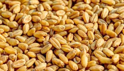 India’s Foodgrain Production Jumps 6.8% To Surpass 1,663.9 Lakh Tonnes In FY25