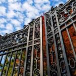How Students In America Reacted To Trump Admin’s Harvard Move