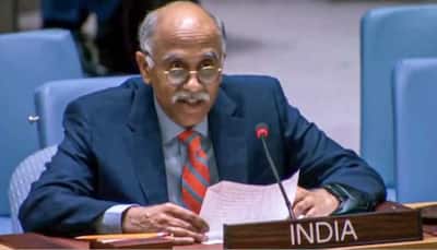 'Protection Of Civilians Should...': India Slams Pakistan At UN For Protecting Terrorists