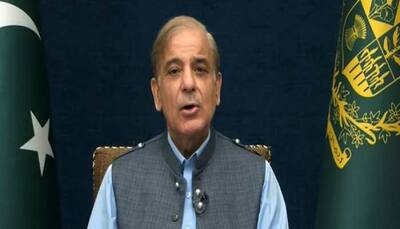 'Ready To Talk On Trade, Counter-Terrorism...': In Iran, Pakistan PM Shehbaz Sharif Advocates Peace With India