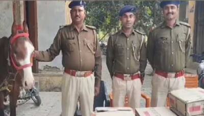 Whinnying Whiskey Couriers: 2 Horses Crossed UP-Bihar Border With Booze Worth Lakhs; Cops Left Dazed By This Genius Smuggling Hack