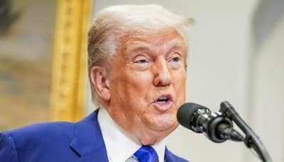 'BIG Jolt Of Great News': US Trump Slaps 50% Tariffs on Steel and Aluminium