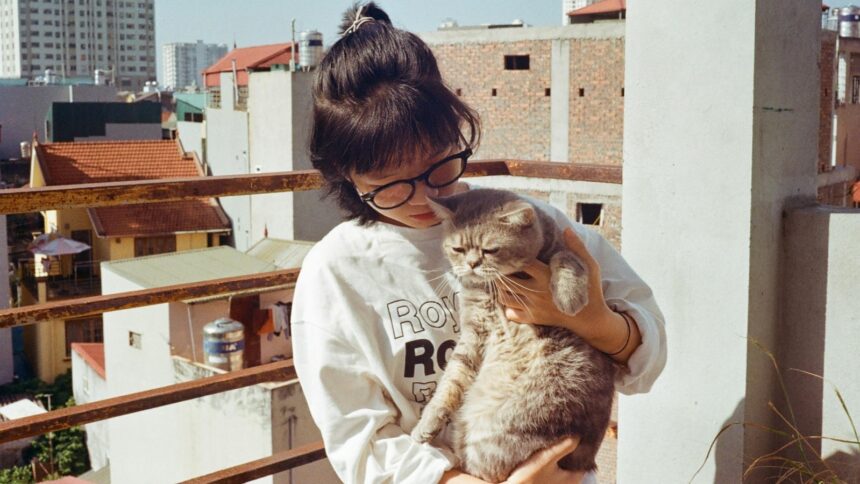 cats
