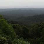 forest land, supreme court,