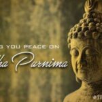 Happy Buddha Purnima 2025 Wishes Images: As Buddha Jayanti approaches, the Indian Express has designed best wishes and photo greeting cards perfect for sharing on the auspicious occasion with your loved ones.