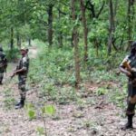 Aa team of security personnel led by Latehar Superintendent of Police (SP) Kumar Gaurav launched a search operation. (Representational)