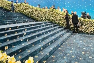 Met Gala red carpet