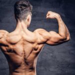 muscle
