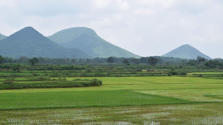 To implement the plan, the Odisha state government has proposed a corpus so that the tribals and Dalits who want to mortgage or sell their land due to financial constraints can do so directly to the government. (Credit: Pixabay)