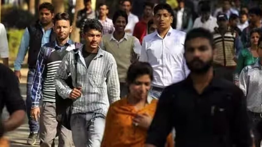First monthly labour force survey: April unemployment rate at 5.1%
