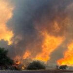 Wildfires