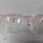 Biohazard  Hidden In A Tissue, Stashed In A Backpack: How Two Scientists Tried Sneaking The Crop-Killing Fungus Into US