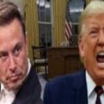 Amid White House Peace Push, Trump Calls Musk Mentally Gone; But Is Elon Even Listening?