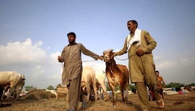 Eid al-Adha Crackdown: Why Ahmadis In Pakistan To Be Fined Rs 1.5 lakh If They Make Animal Sacrifice, Offer Namaz?