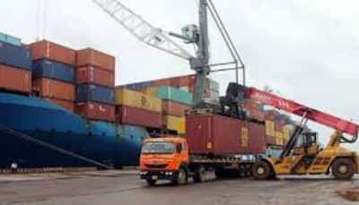 Govt Imposes Anti-Dumping Duties On Vitamin A, Rubber Chemical Imports From China, Japan, EU