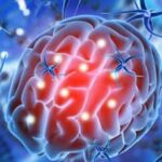 World Brain Tumor Day 2025: Potential Of Stem Cell Therapy In Brain Tumour Treatment