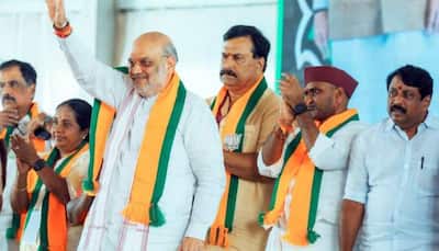 Amit Shah Pushes For Tamil In Medical And Engineering, Says 'Greatest Languages...'