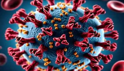 COVID To Mutate Into A Monster? Japan’s Baba Vanga Warns Of Comeback Of Apocalypse-Scale Virus