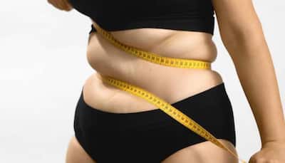 Belly Fat Be Gone! Effective Belly Fat Loss Strategies Without Gym